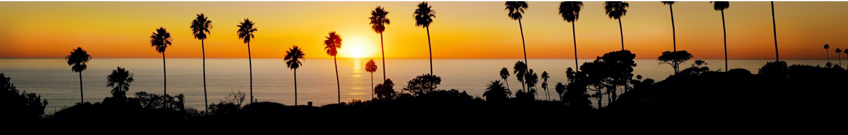 Sun setting over the ocean with palm trees silhouetted on the horizon.